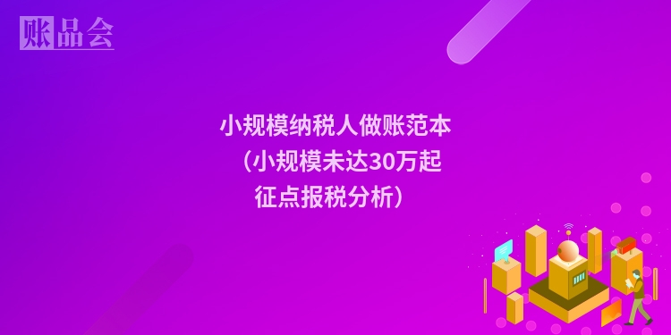 小规模纳税人做账范本（小规模未达30万起征点报税分析）