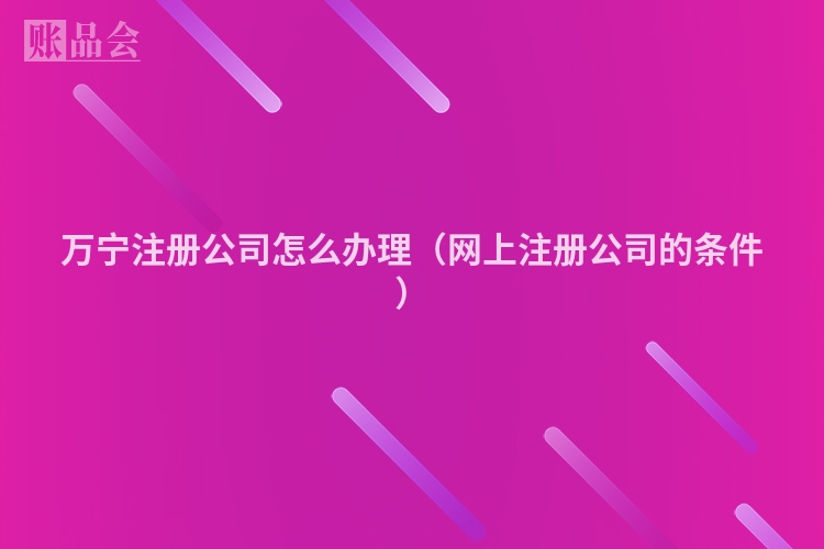 万宁注册公司怎么办理（网上注册公司的条件）