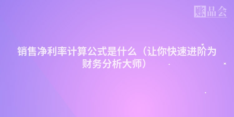销售净利率计算公式是什么（让你快速进阶为财务分析大师）