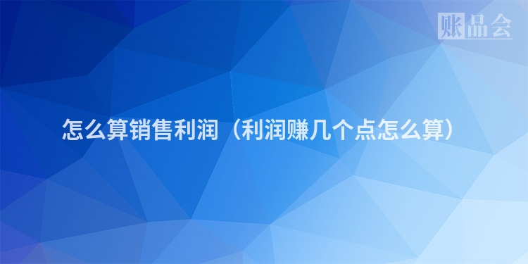 怎么算销售利润（利润赚几个点怎么算）