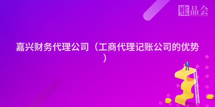 嘉兴财务代理公司（工商代理记账公司的优势）