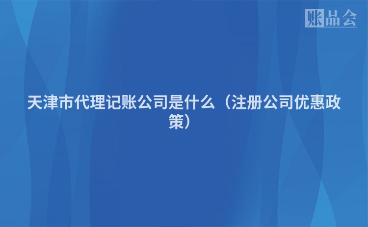 天津市代理记账公司是什么（注册公司优惠政策）