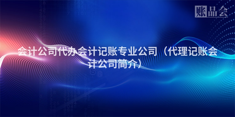 会计公司代办会计记账专业公司（代理记账会计公司简介）