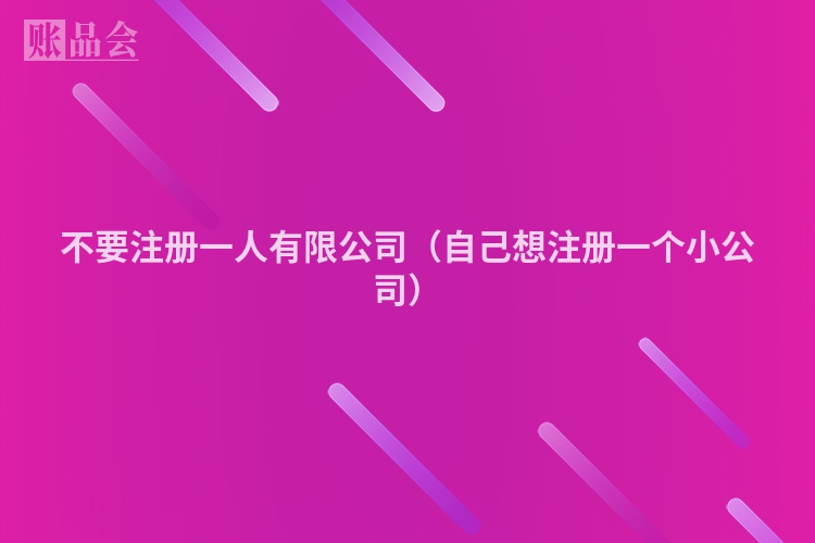 不要注册一人有限公司（自己想注册一个小公司）