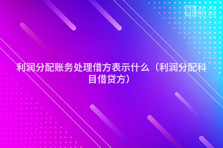 利润分配账务处理借方表示什么（利润分配科目借贷方）