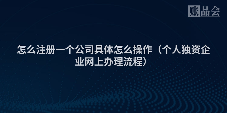 怎么注册一个公司具体怎么操作（个人独资企业网上办理流程）