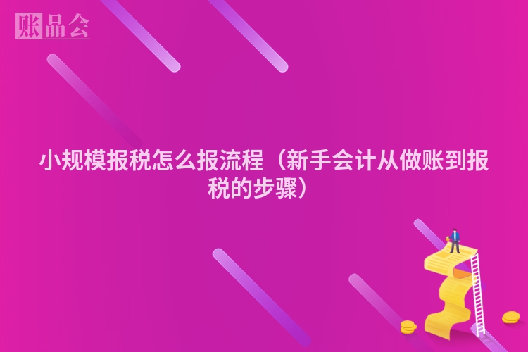 小规模报税怎么报流程（新手会计从做账到报税的步骤）