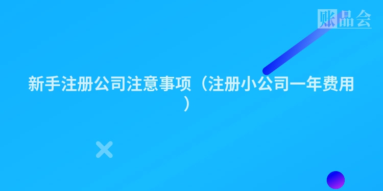 新手注册公司注意事项（注册小公司一年费用）