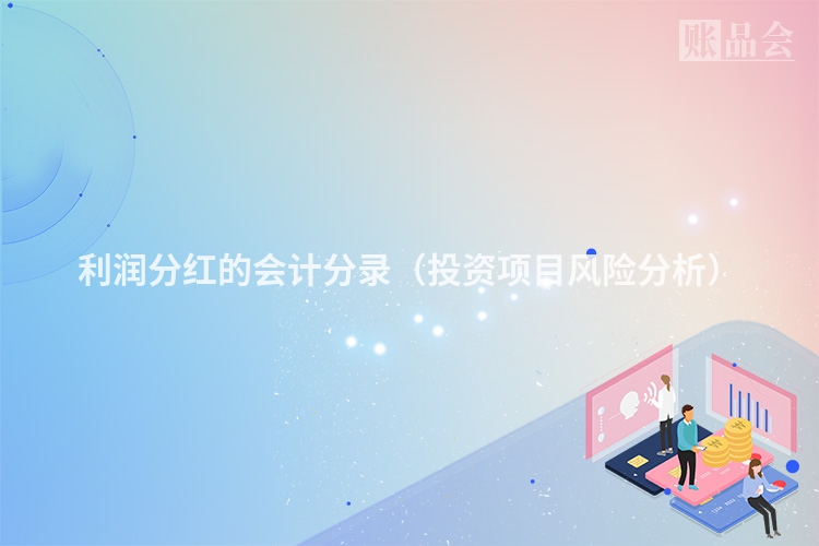 利润分红的会计分录（投资项目风险分析）