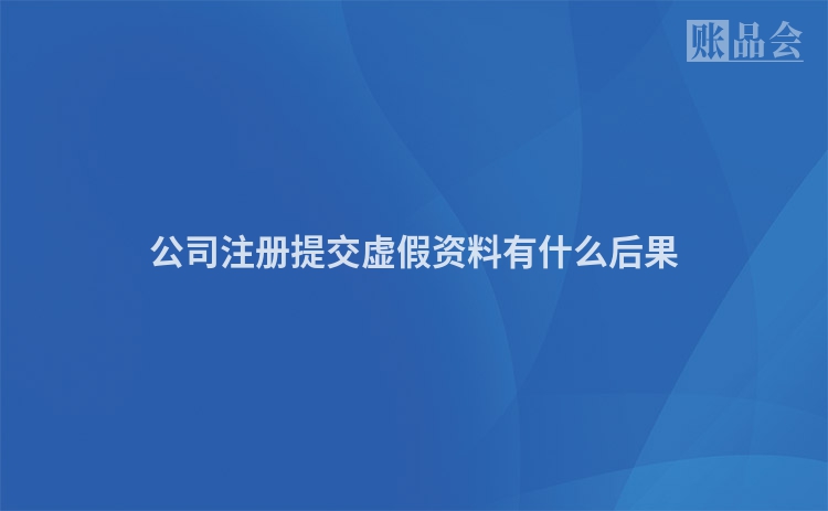 公司注册提交虚假资料有什么后果