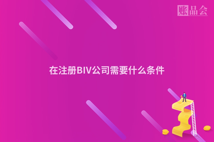 在注册BIV公司需要什么条件