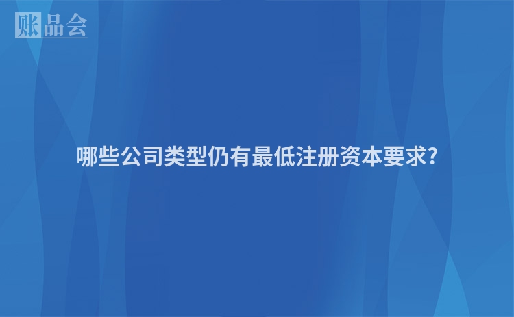 哪些公司类型仍有最低注册资本要求?