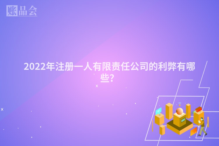2022年注册一人有限责任公司的利弊有哪些？