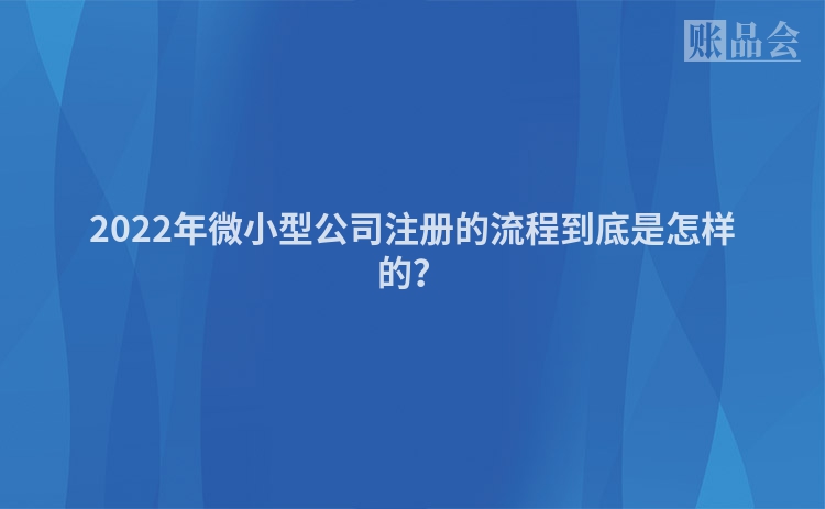 2022年微小型公司注册的流程到底是怎样的？
