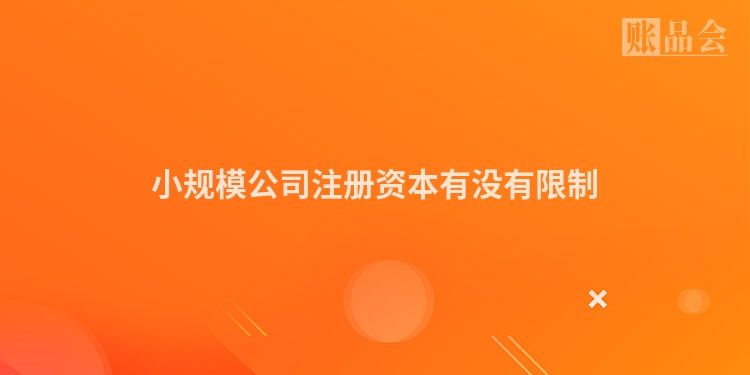 小规模公司注册资本有没有限制