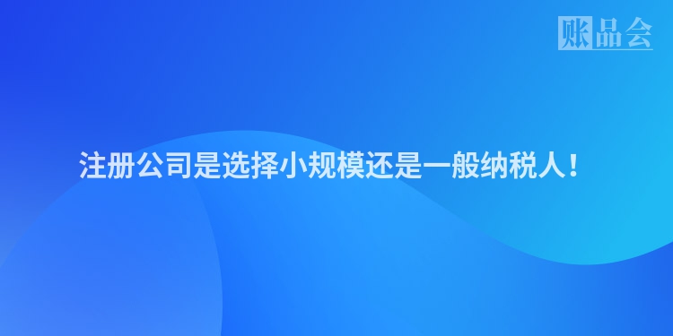 注册公司是选择小规模还是一般纳税人！