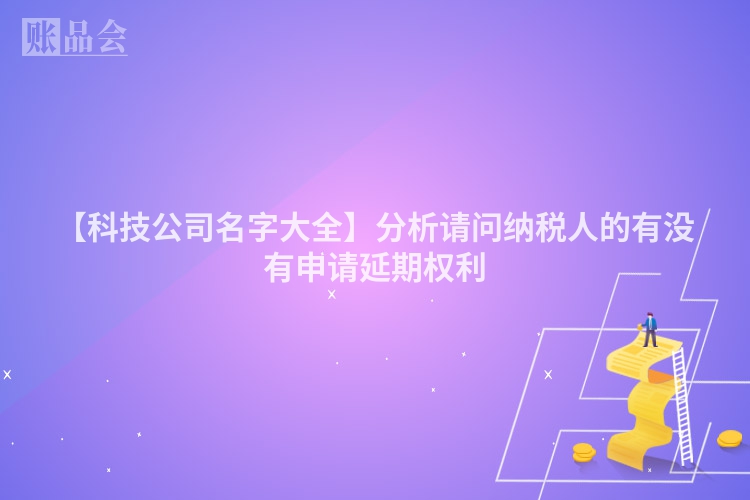 【科技公司名字大全】分析请问纳税人的有没有申请延期权利