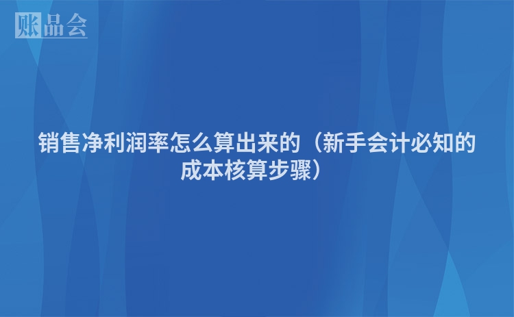销售净利润率怎么算出来的（新手会计必知的成本核算步骤）