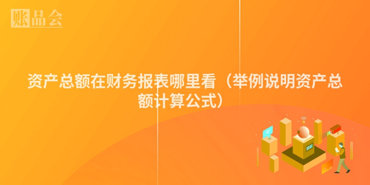 资产总额在财务报表哪里看（举例说明资产总额计算公式）