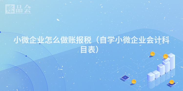 小微企业怎么做账报税（自学小微企业会计科目表）