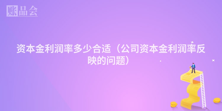 资本金利润率多少合适（公司资本金利润率反映的问题）