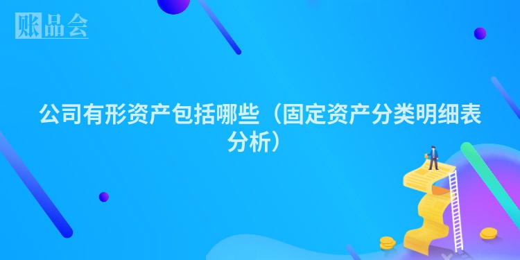 公司有形资产包括哪些（固定资产分类明细表分析）