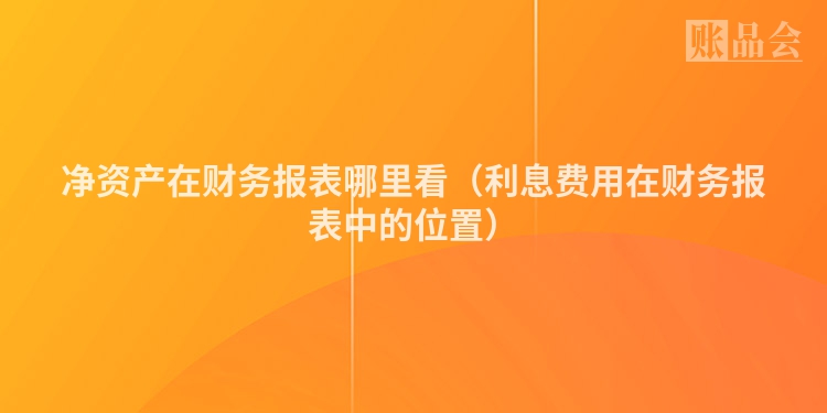 净资产在财务报表哪里看（利息费用在财务报表中的位置）
