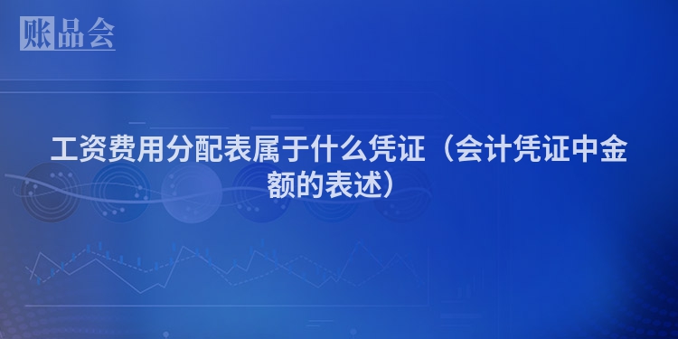 工资费用分配表属于什么凭证（会计凭证中金额的表述）