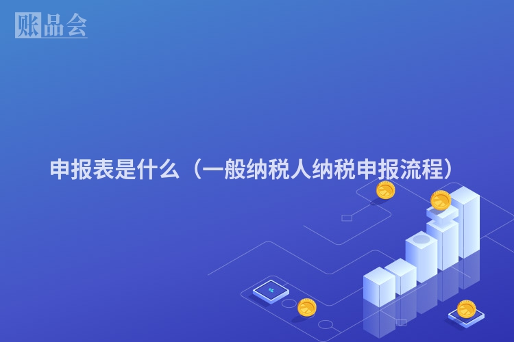 申报表是什么（一般纳税人纳税申报流程）