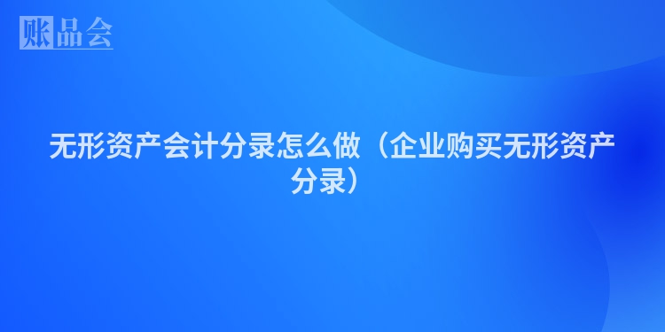 无形资产会计分录怎么做（企业购买无形资产分录）