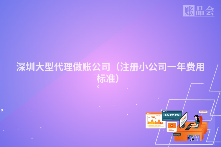 深圳大型代理做账公司（注册小公司一年费用标准）