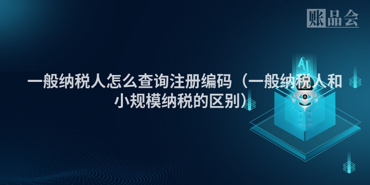 一般纳税人怎么查询注册编码（一般纳税人和小规模纳税的区别）