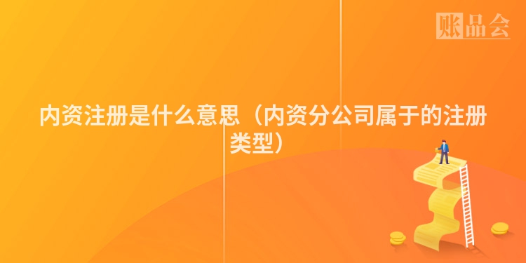 内资注册是什么意思(内资分公司属于的注册类型)